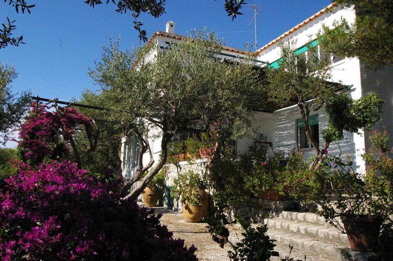 Il Rifugio B&B Capri Anacapri  Exteriör bild