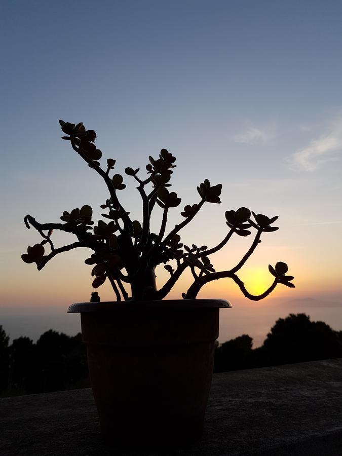 Il Rifugio B&B Capri Anacapri  Exteriör bild