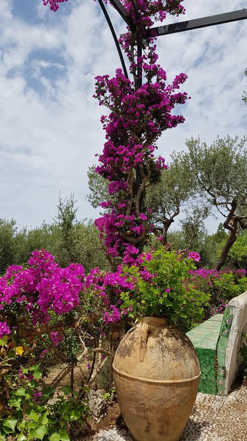 Il Rifugio B&B Capri Anacapri  Exteriör bild