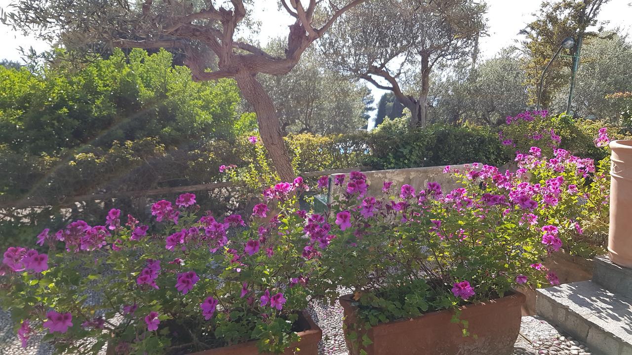 Il Rifugio B&B Capri Anacapri  Exteriör bild